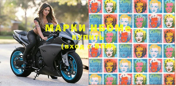 тгк Алзамай