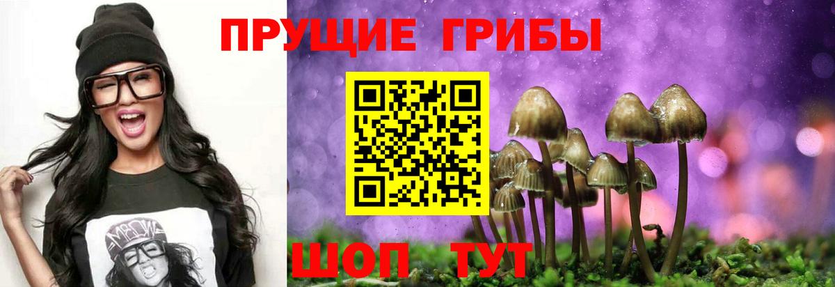 Псилоцибиновые грибы Magic Shrooms Пенза