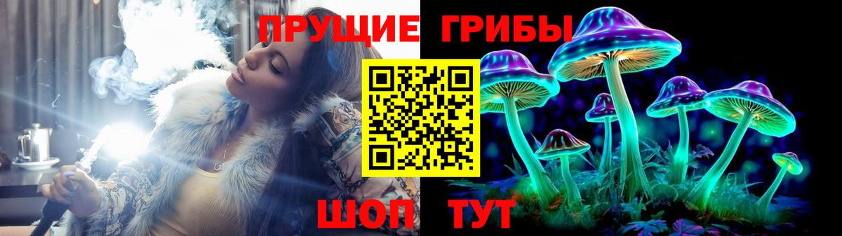 Галлюциногенные грибы Cubensis  Псилоцибиновые грибы ЛСД  Пенза  Вход с VPN 