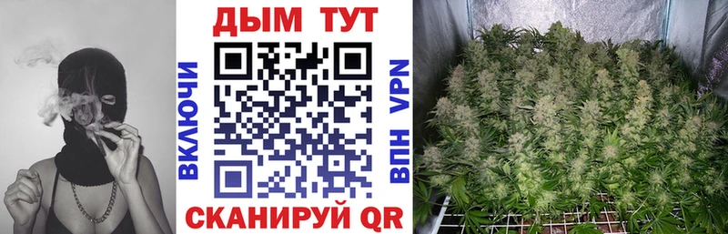 купить   Пенза  Шишки марихуана VHQ 