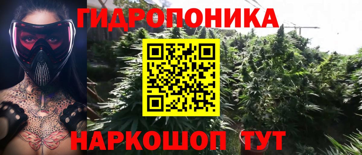 Бошки марихуана семена  Марихуана конопля  МАРИХУАНА White Widow  Вход с VPN  Пенза 